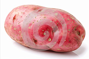 Fresh Uncooked Red Potato on White Background for Advertisements, Packaging, and Labelling