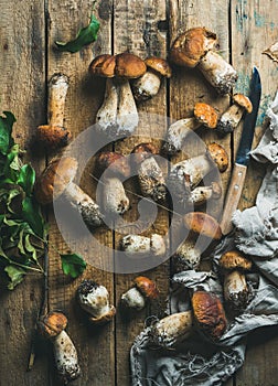Fresh uncooked white forest mushrooms on wooden background