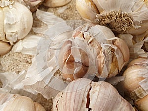 Fresh and unfresh Garlic on market