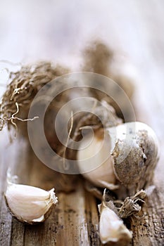 Fresh unpeeled garlic