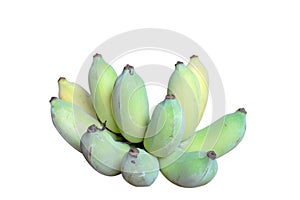 Fresh Unripe green Bananas isolated