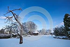 Fresh untouched snow in a beautiful garden photo