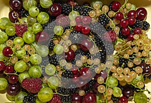 fresh variety of berries from the home garden.