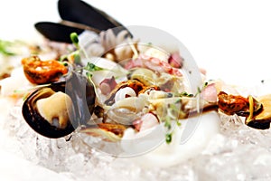 Fresh various seafood served on ice