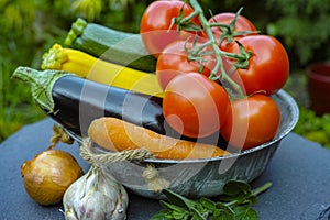 Fresh various vegetables for garnish, soups, gastronomic dishes