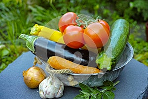 Fresh various vegetables for garnish, soups, gastronomic dishes