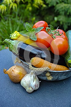 Fresh various vegetables for garnish, soups, gastronomic dishes