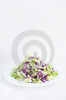 Fresh vegan salad of red and green cabbage on a white background