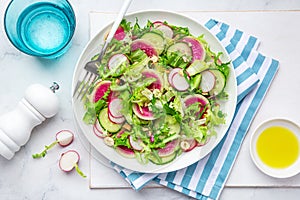 Fresh vegan watermelon radish and  cucumber salad on white plate