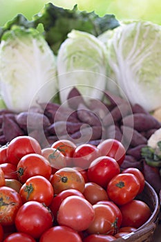 fresh vegetable in basket in market