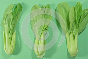 Fresh vegetable, Chinese cabbage
