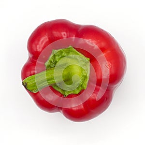 Red bell peper or sweet pepper on white background