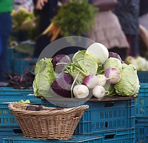 Fresh vegetable displayed at Naplavka farmers market in Prague, Czech Republic