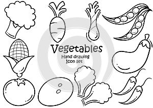 Fresh vegetable hand drawn illustration set