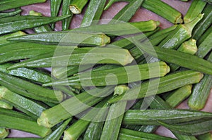 Fresh Vegetable Ladies Finger for Farmhouse photo