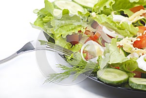 Fresh Vegetable salad