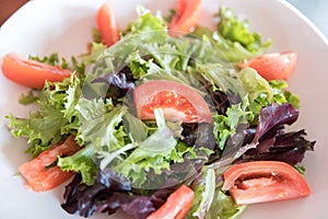Fresh vegetable salad close up