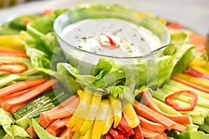 Fresh vegetable with salad and fresh greek yogurt