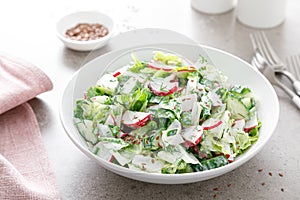 Fresh vegetable salad of green lettuce, radish and cucumber with dill, green onions and greek yogurt