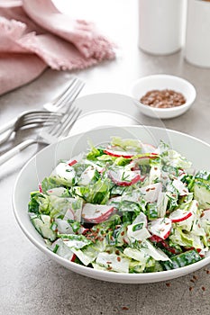 Fresh vegetable salad of green lettuce, radish and cucumber with dill, green onions and greek yogurt