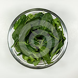 Fresh vegetable salad plate. Step 1 - spring mix.