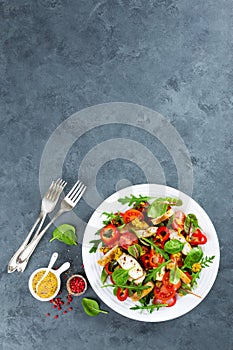 Fresh vegetable salad plate of tomatoes, spinach, pepper, arugula, chard leaves and grilled chicken breast. Fried chicken meat, fi