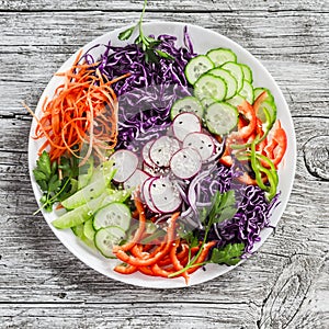 Fresh vegetable salad with red cabbage, cucumber, radish, carrots, sweet peppers, red onion and parsley on a white plate.