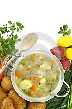 Fresh vegetable soup