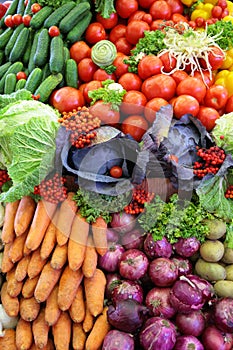 Fresh vegetable variety, vertical photo