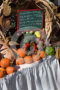 Fresh Vegetable Vendor