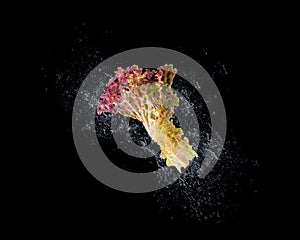 Fresh vegetable with water splash float in the air with elegance