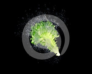 Fresh vegetable with water splash float in the air with elegance