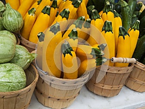 Fresh Vegetables photo