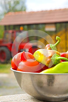 Fresh vegetables