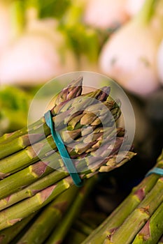 Fresh vegetables