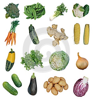 Fresh vegetables