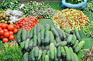 Fresh vegetables