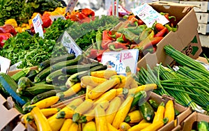 Fresh vegetables at an American Farmers Market