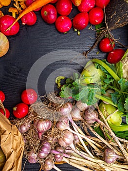 Fresh vegetables background. Carrot, radish, cauliflower, kohlrabi, garlic Harvest gardening concept. Healthy food. Vegetarianism