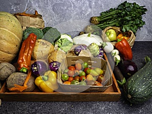 Fresh vegetables background. Organic fresh harvested vegetables