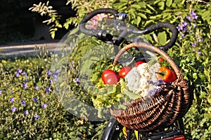 Fresh Vegetables in Basket