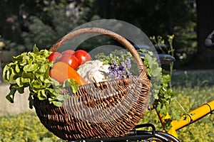 Fresh Vegetables in Basket photo