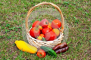 Fresh vegetables in a basket. Growing tomatoes and cucumbers in the garden.