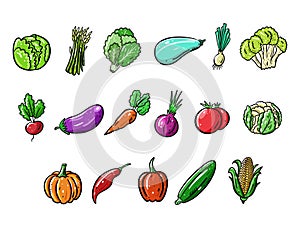 Fresh Vegetables big set collection. Cartoon style. Vector illustration.