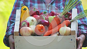 Fresh vegetables in a box on the hands of a young girl.