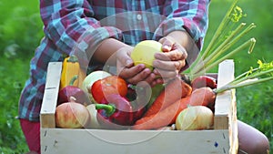 Fresh vegetables in a box on the hands of a young girl.