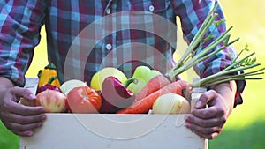 Fresh vegetables in a box on the hands of a young girl.