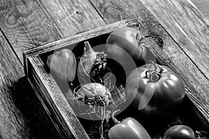 Fresh vegetables in a burned rustic texture box for background. Rough weathered wooden board. Toned