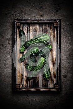 Fresh vegetables in a burned rustic texture box for background. Rough weathered wooden board. Toned