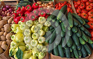 Fresh vegetables in farmer`s market